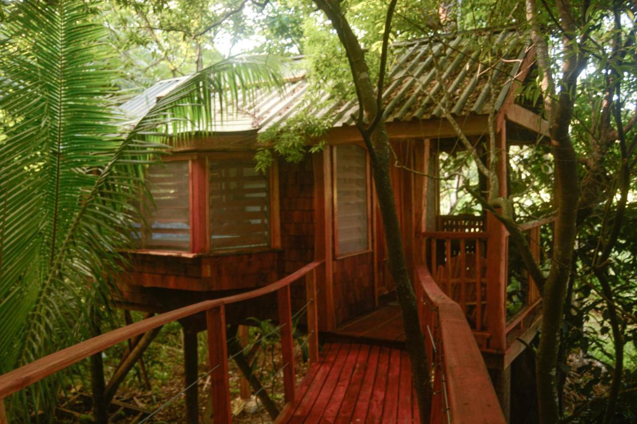 Tukulolo Treehouses Makaunga Buitenkant foto